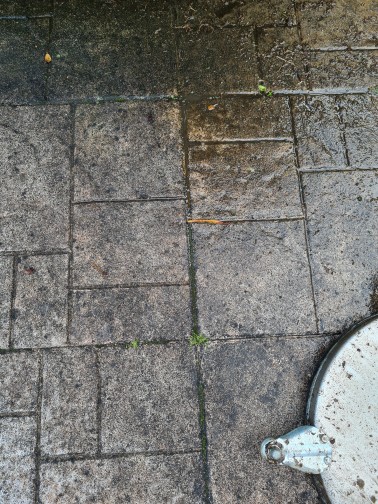 Schwarzalgen von Terrasse entfernen Schwarzalgen von Terrasse entfernen