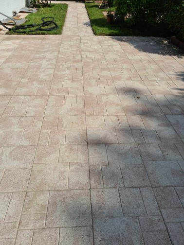 Schwarzalgen von Terrasse entfernen Inprägniert Schwarzalgen von Terrasse entfernen Inprägniert