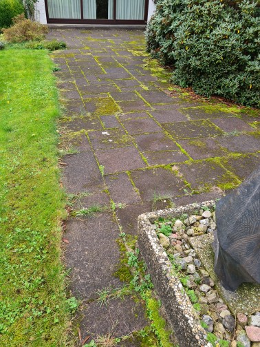 Gehwegplatten reinigen nach 30 Jahren Gehwegplatten reinigen nach 30 Jahren